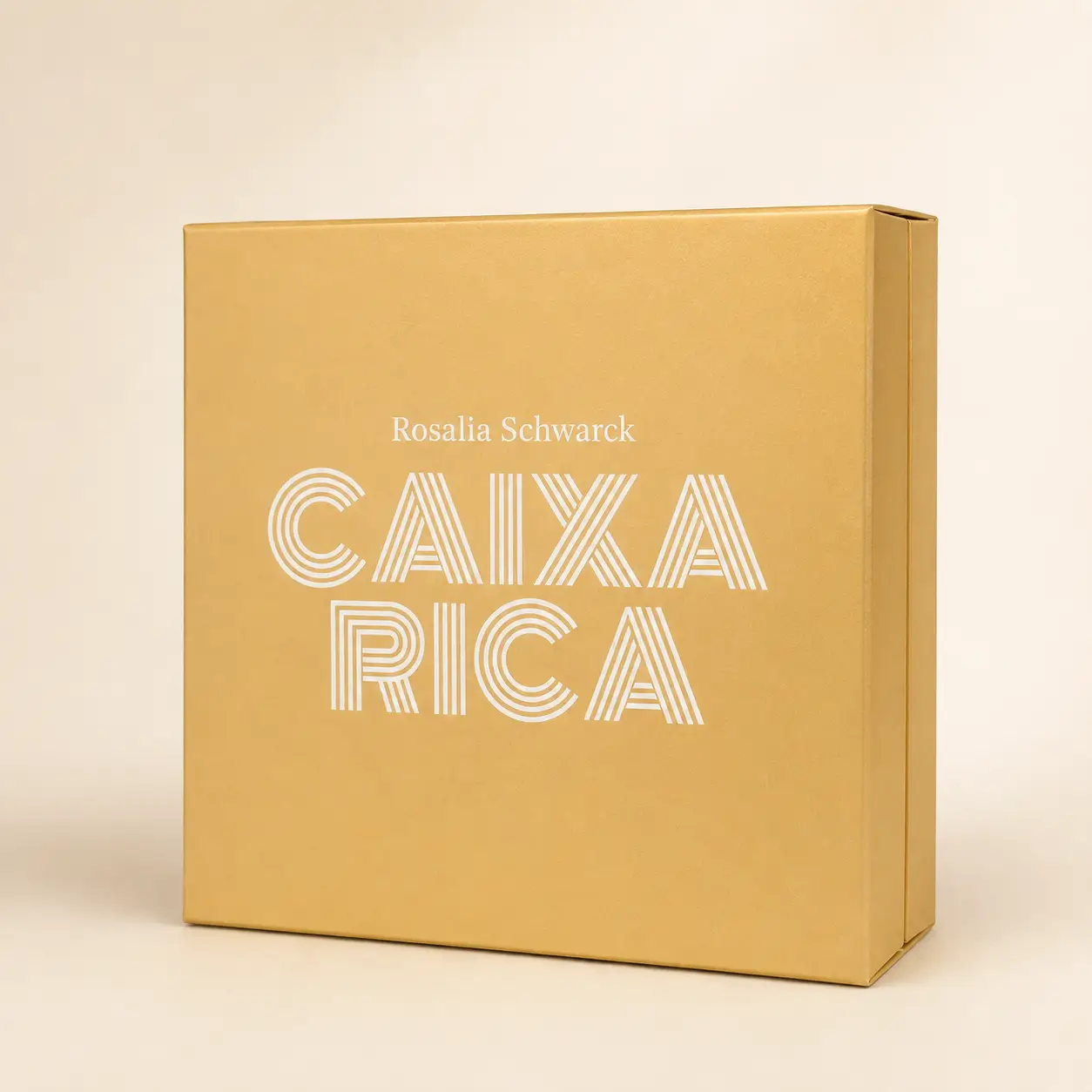Livro físico Caixa Rica de Rosalia Schwark